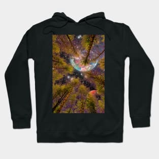 Above plain sight Hoodie